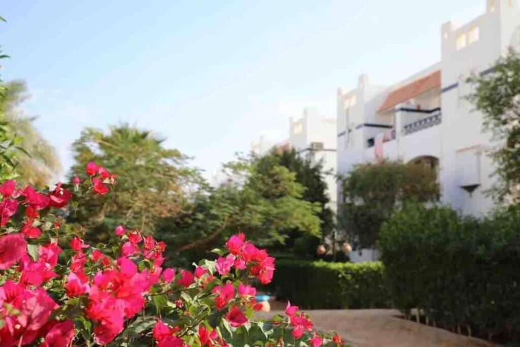 Riviera Resort Apartment - Pool View & Wifi Шарм-еш-Шейх Екстер'єр фото
