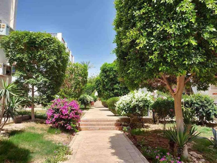 Riviera Resort Apartment - Pool View & Wifi Шарм-еш-Шейх Екстер'єр фото